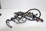 2017 Yamaha Waverunner Vx Cruiser Oem Main Wiring Harness 6fg-8259l-00-00. Fixed Price $569.59.