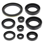 Vertex-winderosa Engine Oil Seal Kit #822259 For Arctic Cat/suzuki. Fixed Price $52.73.