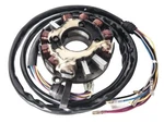Polaris Sl 900-sl 1050-sltx-slxh Stator 1996-1997 1998 Sbt 14-305 Rep:. Fixed Price $199.94.