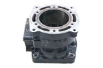 96 Polaris Sltx 1050 Cylinder. Fixed Price $149.99.