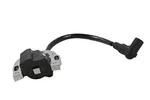 Genuine Oem Kawasaki Part # 21171-0740; Ignition Coil. Fixed Price $60.75.
