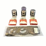New Kawasaki 900 73mm Std Wsm Platinum Top End Kit 1995-2002 Stx, Sts Zxi. Fixed Price $314.99.