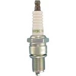 Ngk Spark Plug 7548. Fixed Price $14.20.