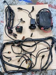 Sea Doo Gsx Rfi 787 800 Rear Electrical Box Solenoid Ignition Coil Coils Start. Fixed Price $159.99.