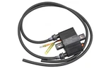 New Oem Yamaha 6k8-85570-19-00 Ignition Coil Assembly Nos. Fixed Price $199.99.