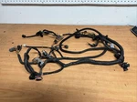 2006 Yamaha Fx Cruiser Oem Good Used Wiring Harness 99999-03768-00. Fixed Price $199.99.