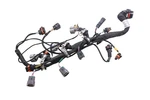 19 Sea-doo Spark 3-up 900 Ace Engine Wire Harness Electrical Wiring. Fixed Price $429.99.