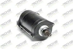 Ricks Starter Motor 81-125. Fixed Price $150.45.