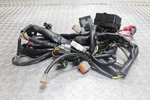2011-2012 Sea-doo Gtx 260 Limited Is Main Engine Wiring Harness Motor Wire. Fixed Price $699.95.