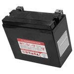 Agm Battery For Sea-doo Spark Ace 900 2014 - 2024 / 12v 18 Ah Cca 270. Fixed Price $120.00.