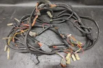 Polaris Genesis 1200 Main Wiring Harness Wire Loom 2001. Fixed Price $99.99.