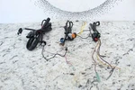 1996 Sea-doo Gts 587 Wire Harness Set 278000495. Fixed Price $39.00.