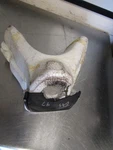97 Seadoo Gts Steering Handle Bar Foam 277000145 277000146. Fixed Price $24.99.