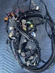 Kawasaki Ultra 310 Wiring Harness 26031-1698. Fixed Price $250.00.