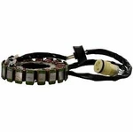 Kawasaki Stator 2003-2009 21003-3747 Stx 12-f Ultra 250x-260x. Fixed Price $159.95.