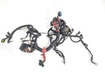 Engine Wiring Harness 7.3l Diesel 4wd Oem 2002 Ford F250. Fixed Price $274.74.