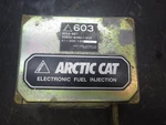 Oem 1994-1996 Arctic Cat Zr Ext Wildcat Panther: Ecu. Fixed Price $80.00.