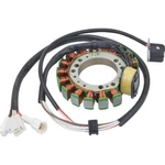 Wild Boar 340-22035 Stator Coil. Fixed Price $169.31.