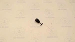 1993-03 Yamaha Oem Drain Plug Eu0-62280-00-00. Fixed Price $9.95.