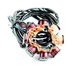Stator Coil Assembly 1995 Kawasaki Zxi 750 Jh750-c1 743cc 2-stroke 21003-3731. Fixed Price $141.41.