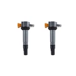 2 Pack Stick Coil For Sea-doo 230 300 Gti Gtx / Spark 900 2014-2023 420666142. Fixed Price $109.98.