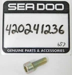 1 New Genuine Brp Seadoo Ski-doo Allen Socket Screw M6x16 Oem Bolt 420241236 Nos. Fixed Price $7.73.