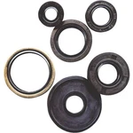 Winderosa - 822259 Oil Seal Kit. Fixed Price $47.40.