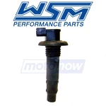 Wsm Ignition Coil For 2007 Sea-doo Gtx Wake - Electrical Rj. Fixed Price $95.00.