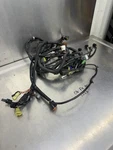 06 07 Yamaha Fxho Fx Cruiser Ho 2006 Main Wiring Harness 6b6-8259l-11-00. Fixed Price $187.99.