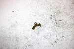 1996 Tigershark Monte Carlo 770 Oem Stator Wire Clamp 3008-109 Ja10. Fixed Price $9.99.