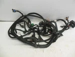 Ee71 Polaris Msx 150 2004 Engine Harness. Fixed Price $34.49.
