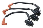 04 Polaris Genesis I 1200 Ignition Coils. Fixed Price $79.99.