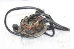 1992 Polaris Sl 650 Oem Stator Generator Alternator Magneto. Fixed Price $122.81.