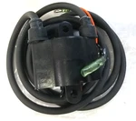 New Oem Arctic Cat Tigershark Ignition Coil. 3008-170 ( 3008-128) Artic. Fixed Price $136.47.